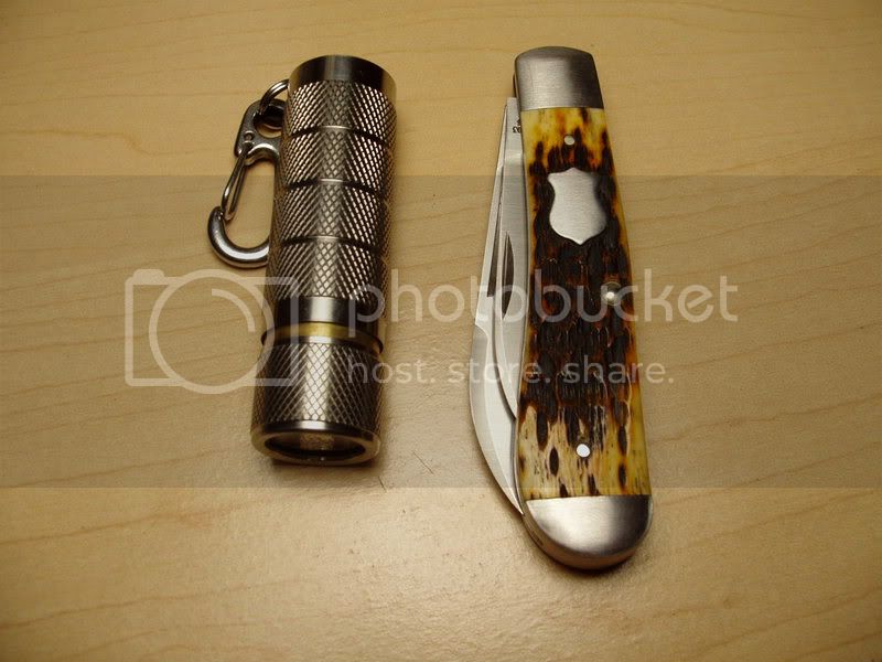 DoglegNautilus.jpg
