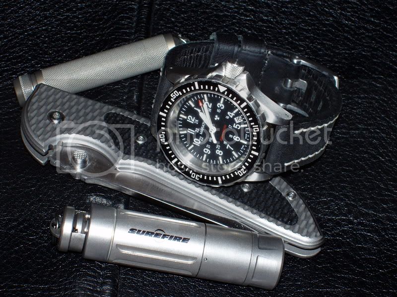 blackginslerhinderer.jpg
