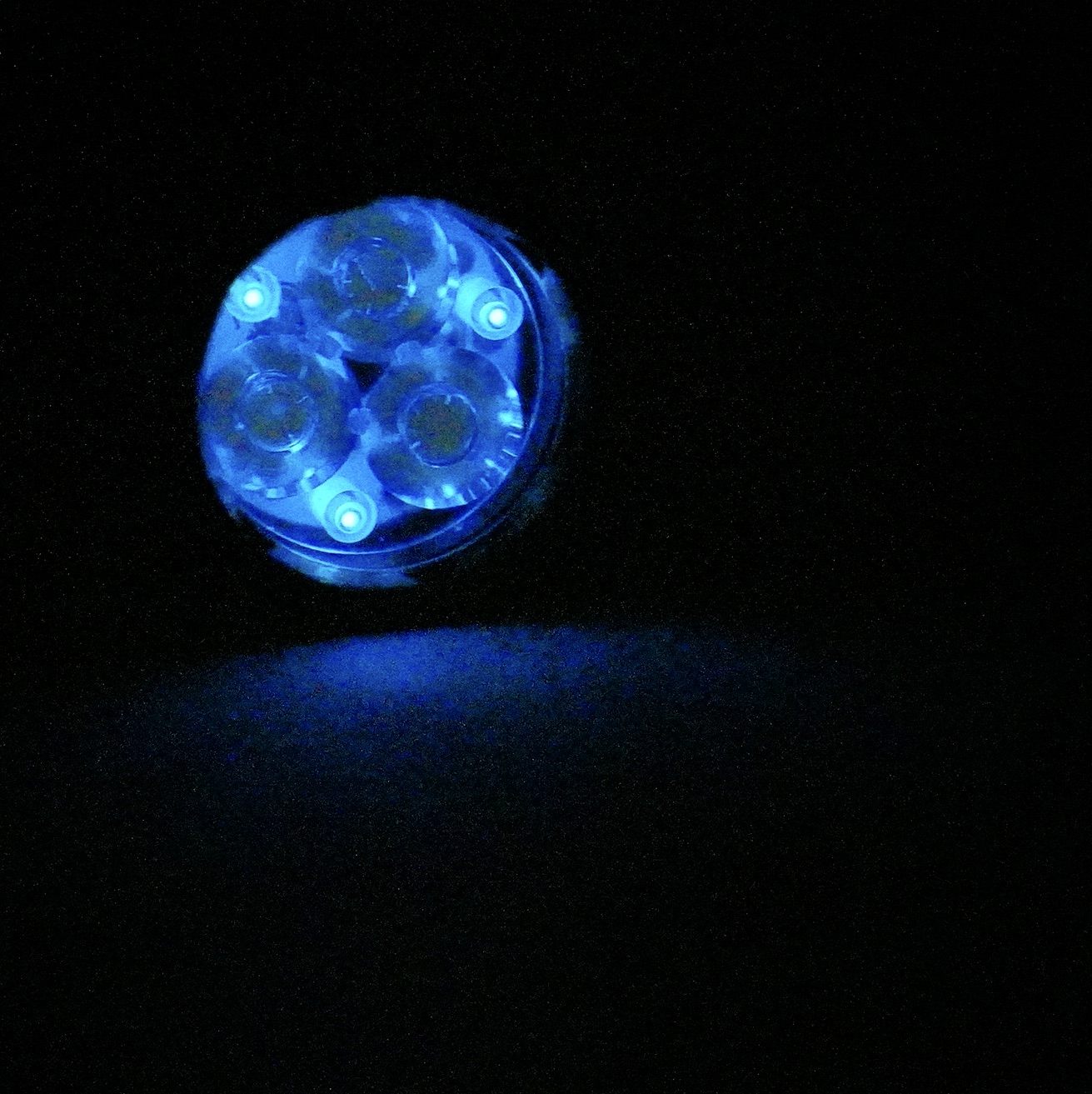 SKY00756 2.JPG