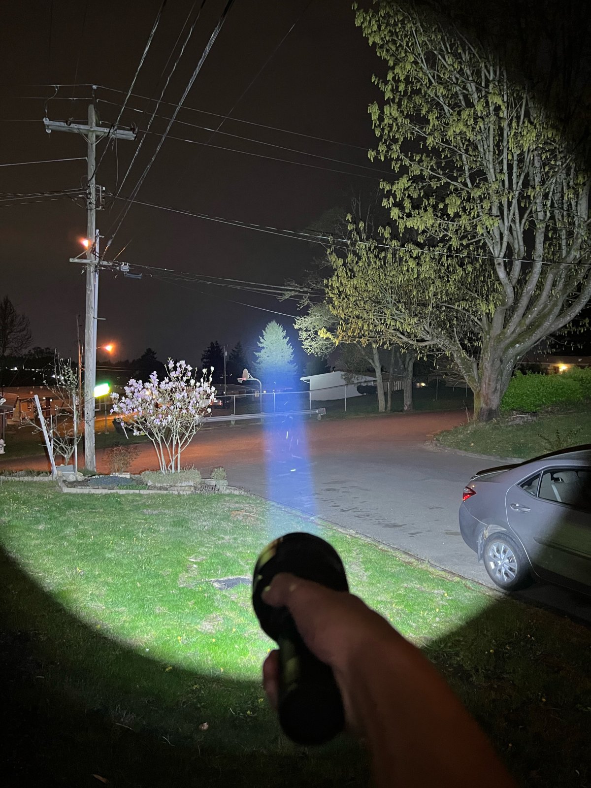 image2.jpeg