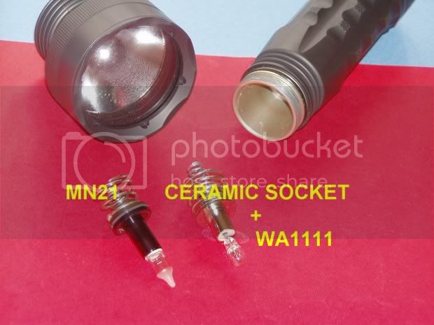 M6005.jpg