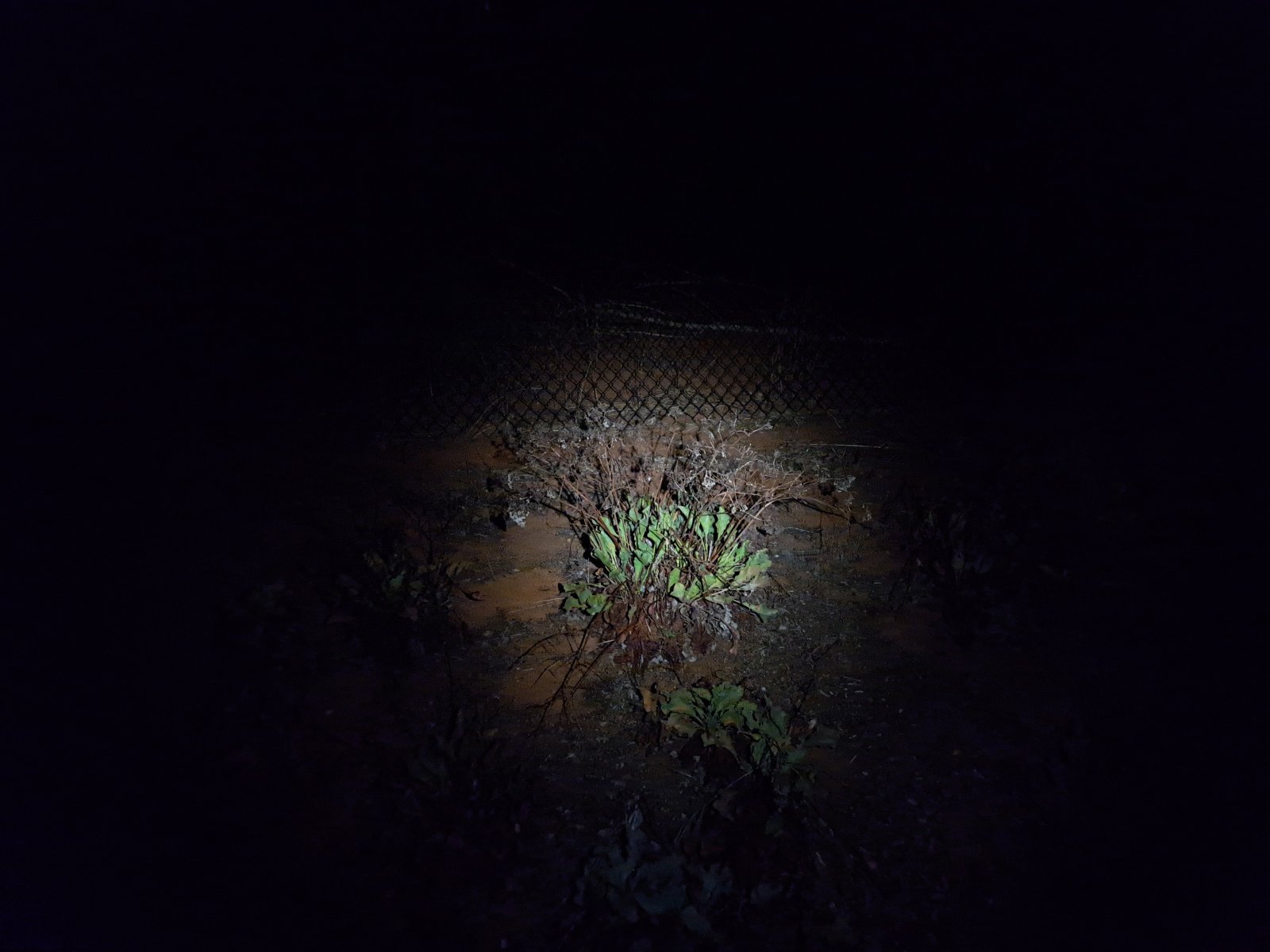 20220911_205811.jpg