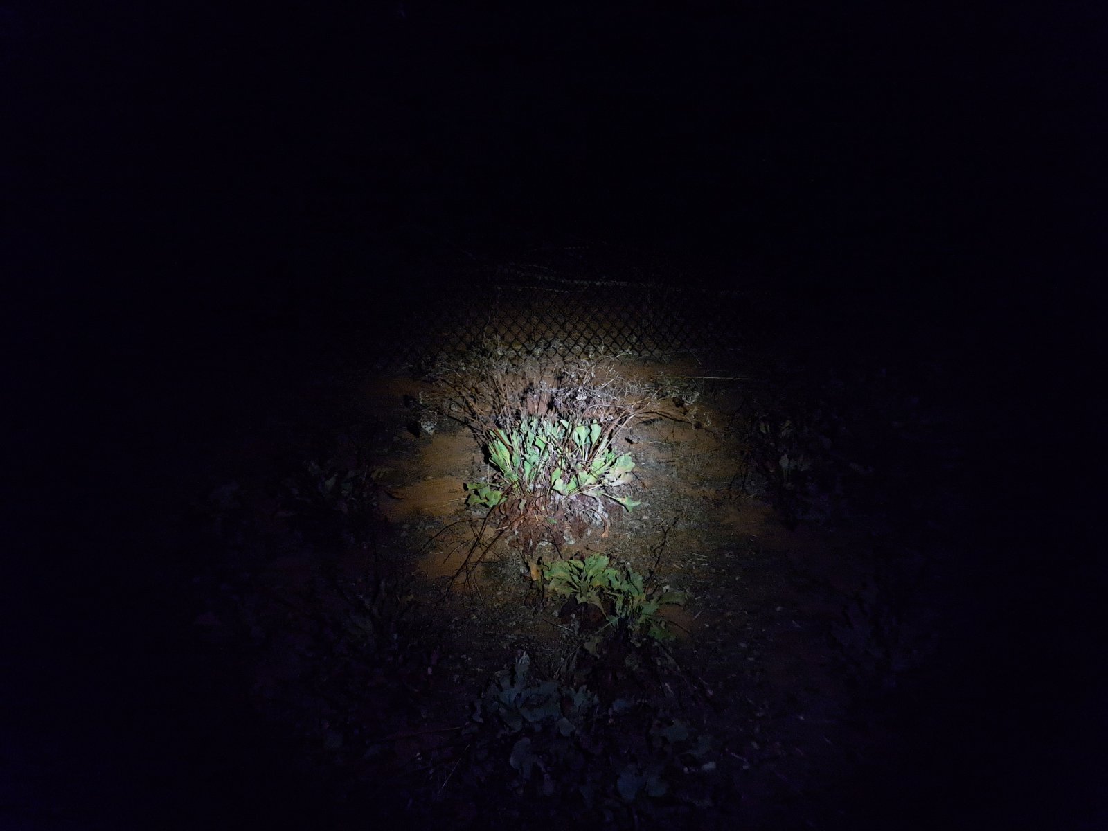20220911_210054.jpg