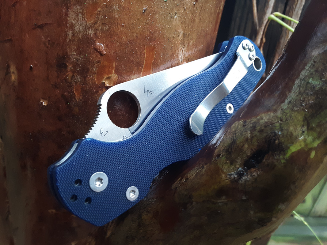 PM2-b.jpg