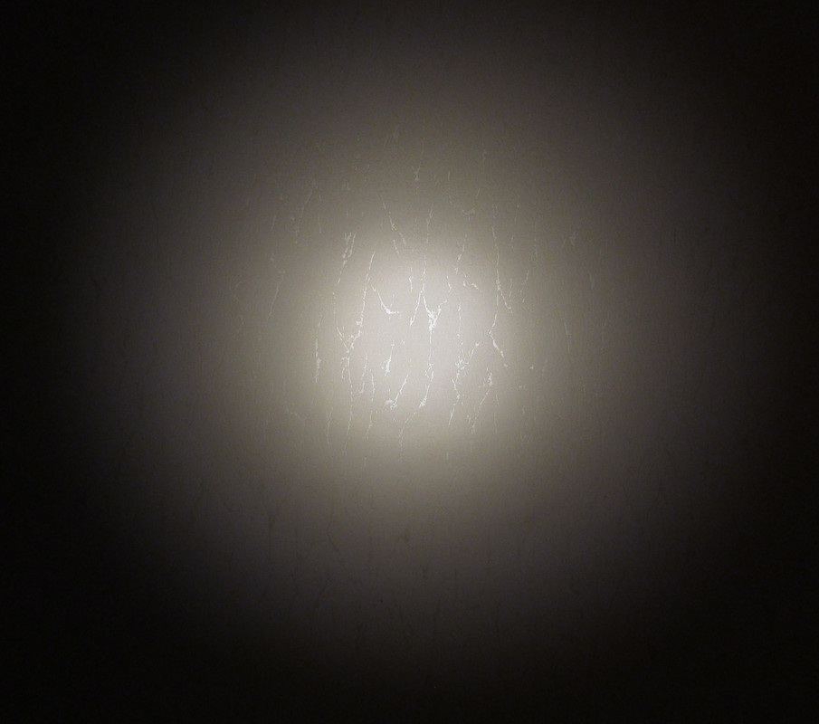 IMG-7039.jpg