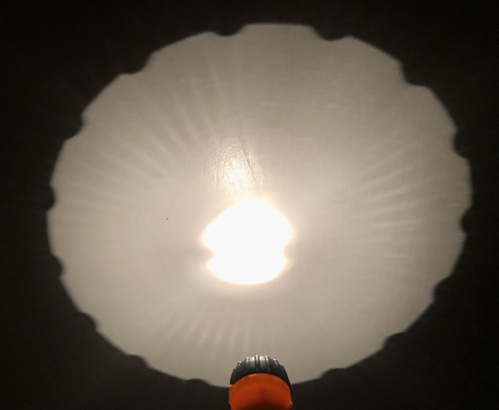 01D51E4D-757E-4DB0-8442-9D2C6AFB58C1.jpeg