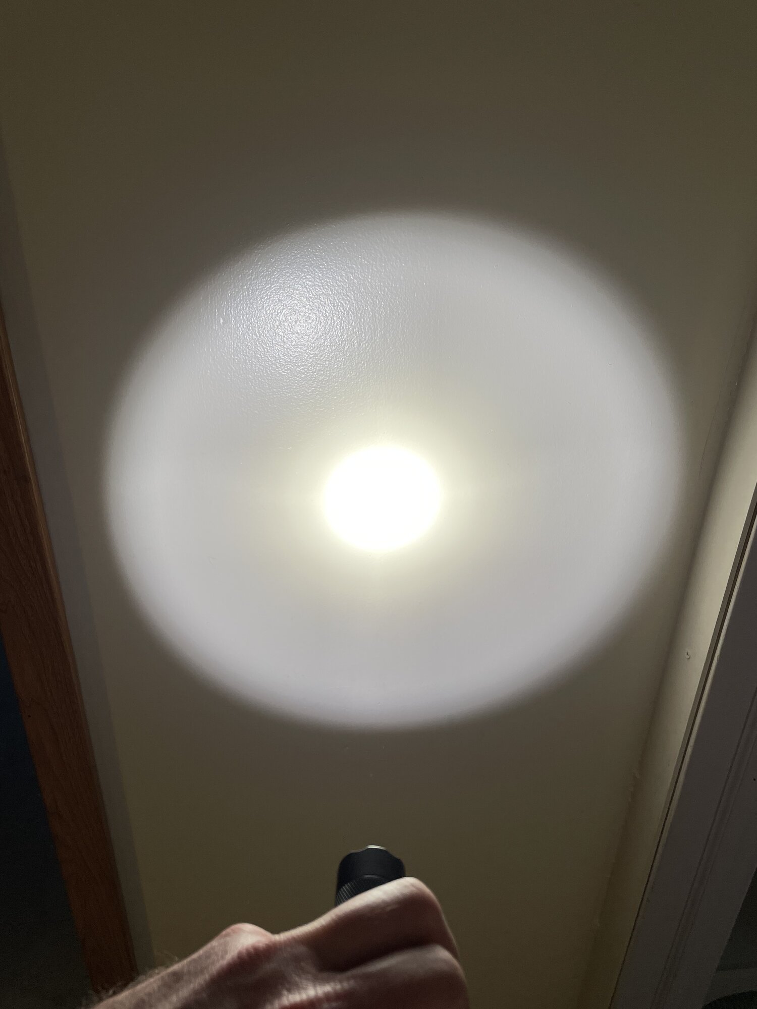 9C2E7CB2-ACFE-4C49-B3D4-3D9FF7B0B194.jpeg