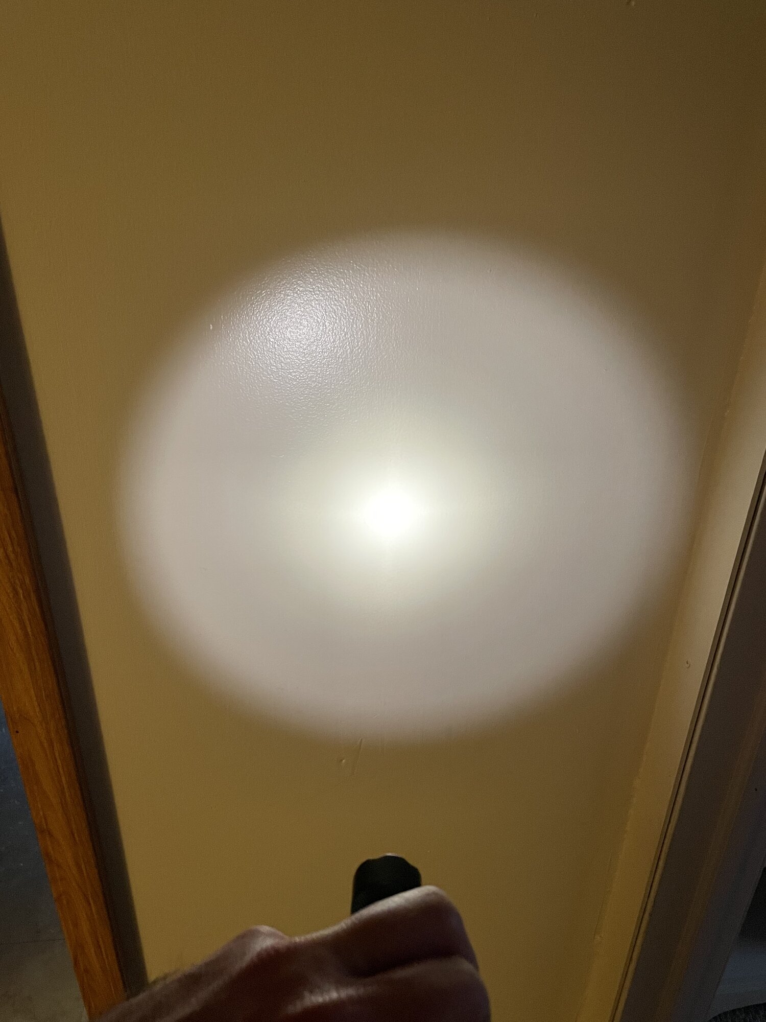 40FD685A-4288-4B3E-AB04-D632E0E18E68.jpeg
