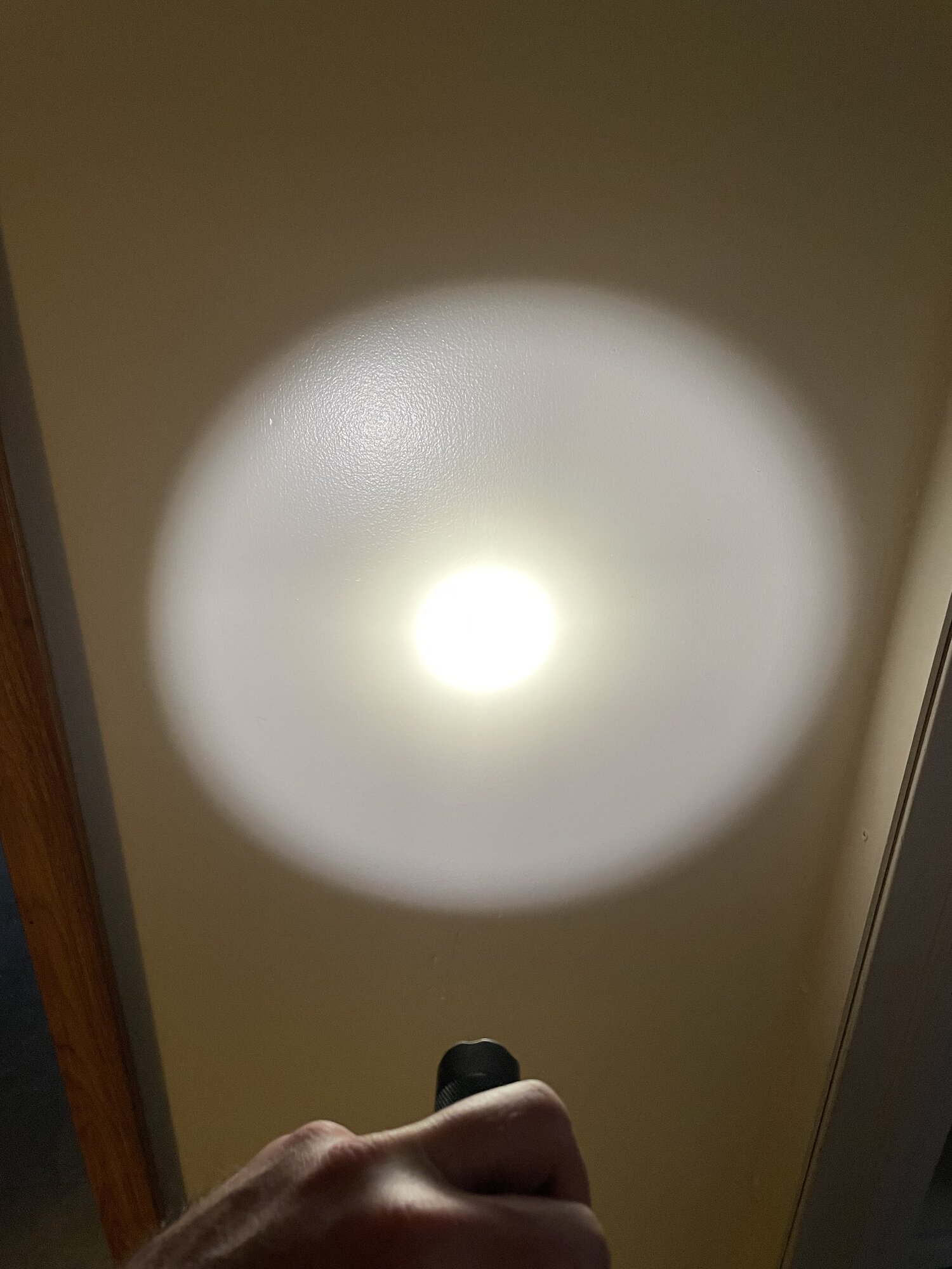C8930704-4C90-41F9-A14A-6393696E80D2.jpeg