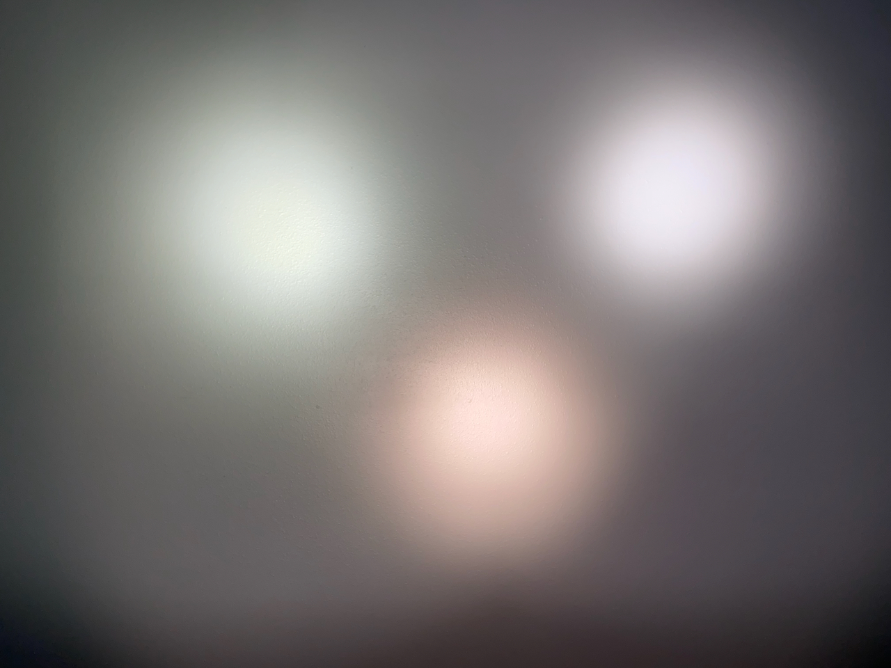 IMG_4508.jpeg