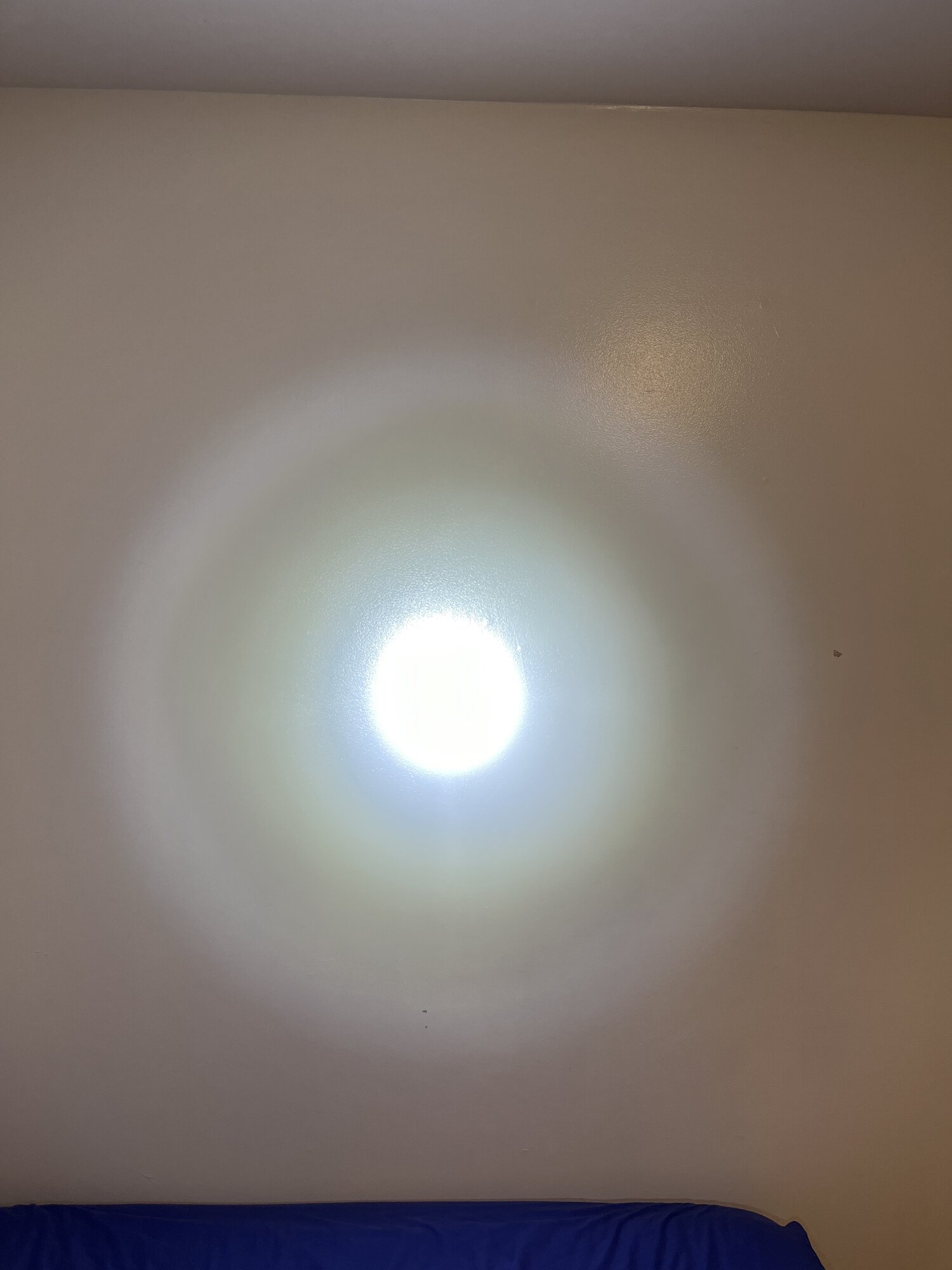 IMG_5308.jpeg