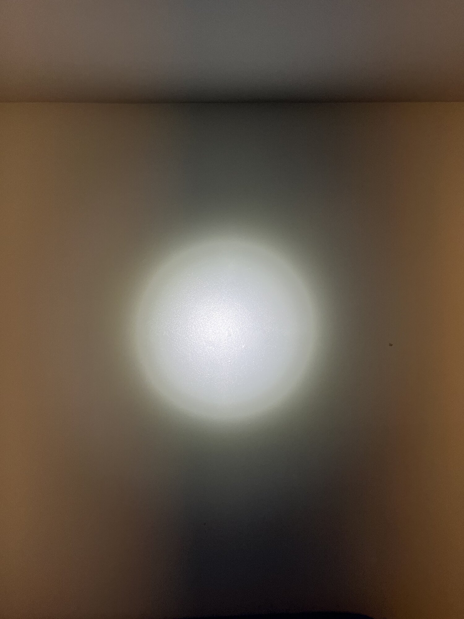 IMG_5310.jpeg