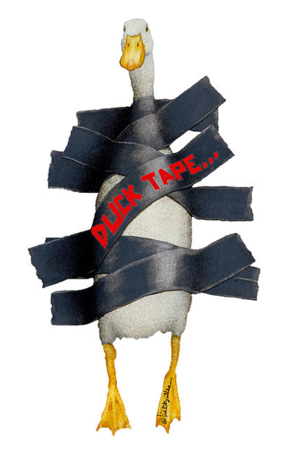 1707593155789.png