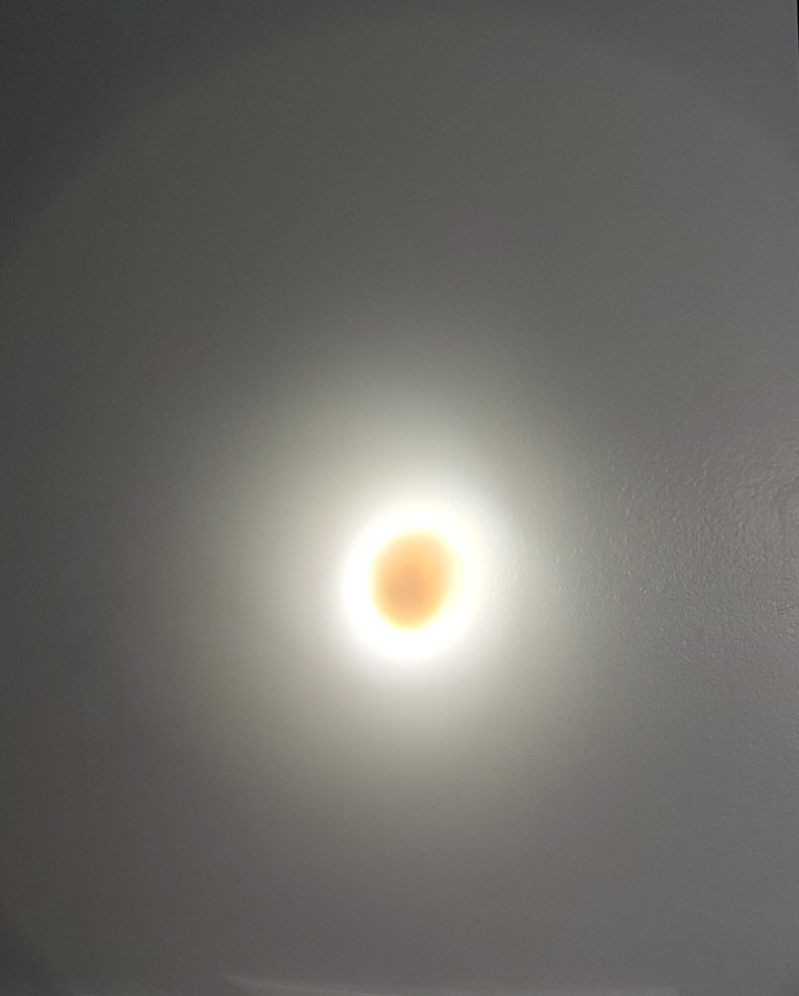 20240224_180509.jpg
