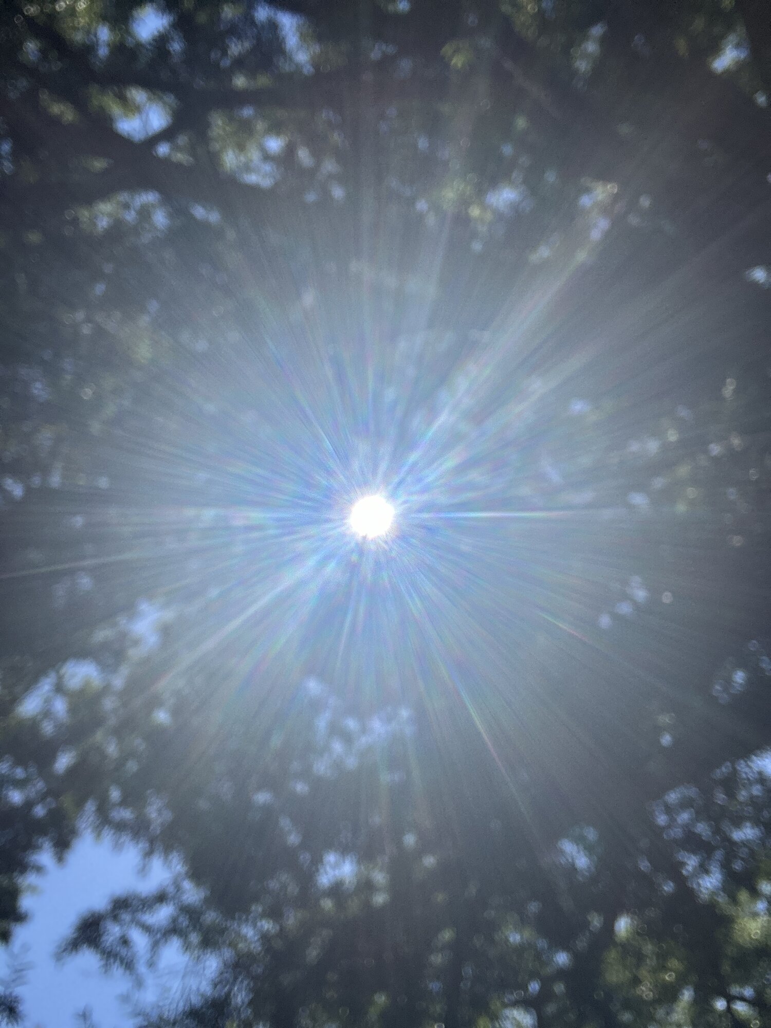 IMG_6210.jpeg