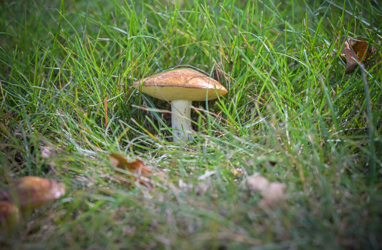 IMG_9610.jpeg
