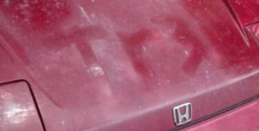 IMG_5004.jpeg