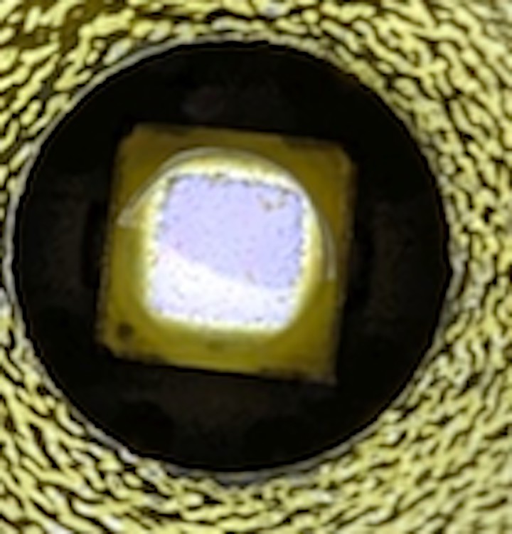 PXL_20240703_182625150.jpg
