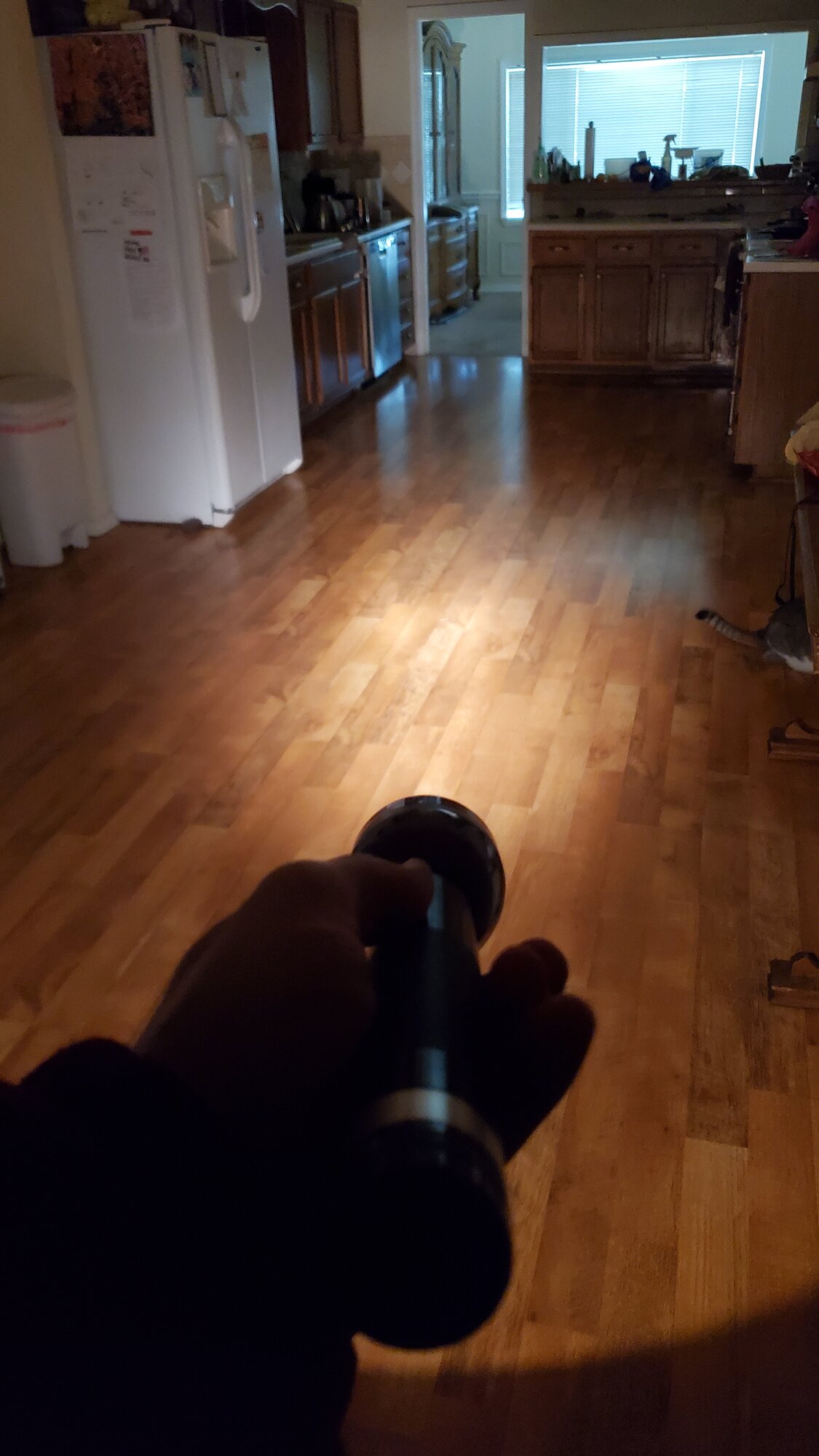Wide focus.jpg