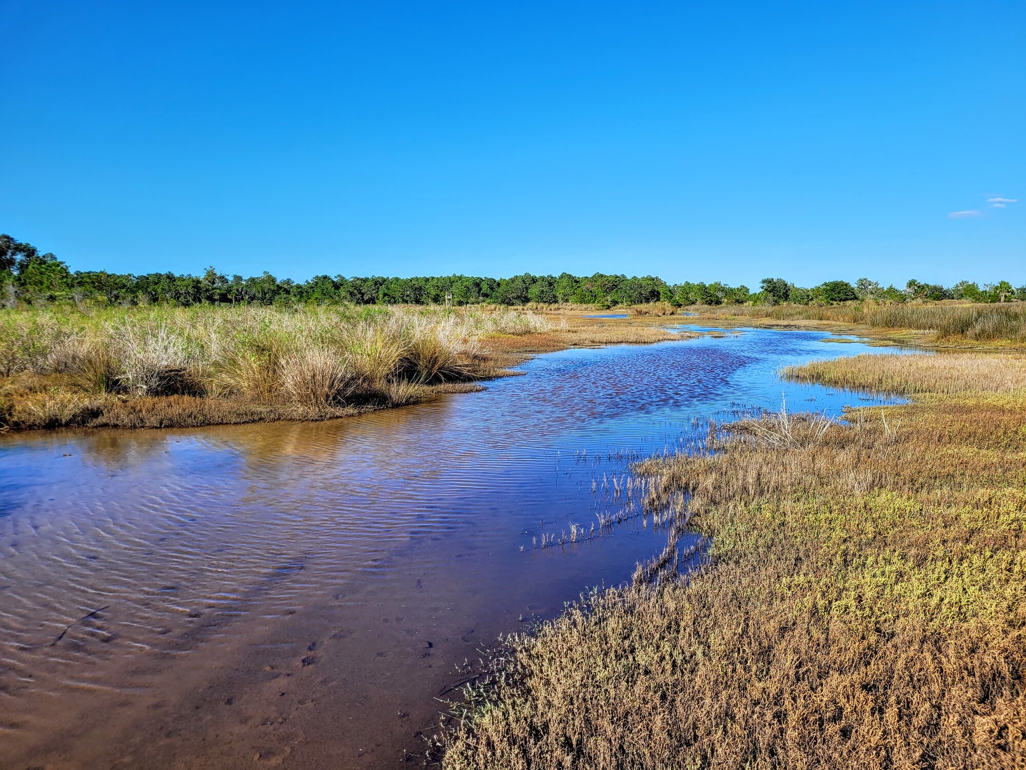 Flooded trails.jpg