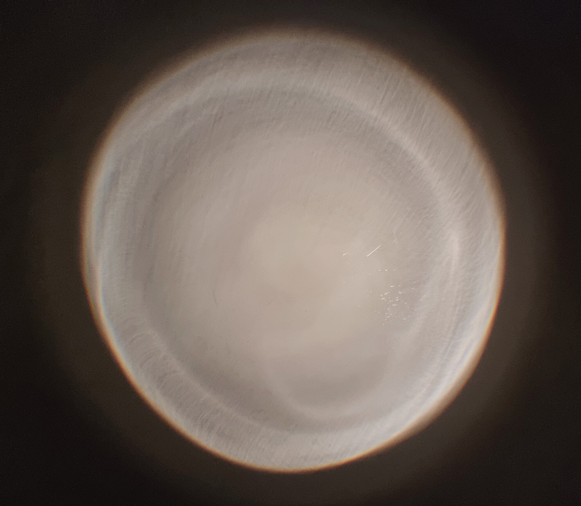 20241115_000613.jpg