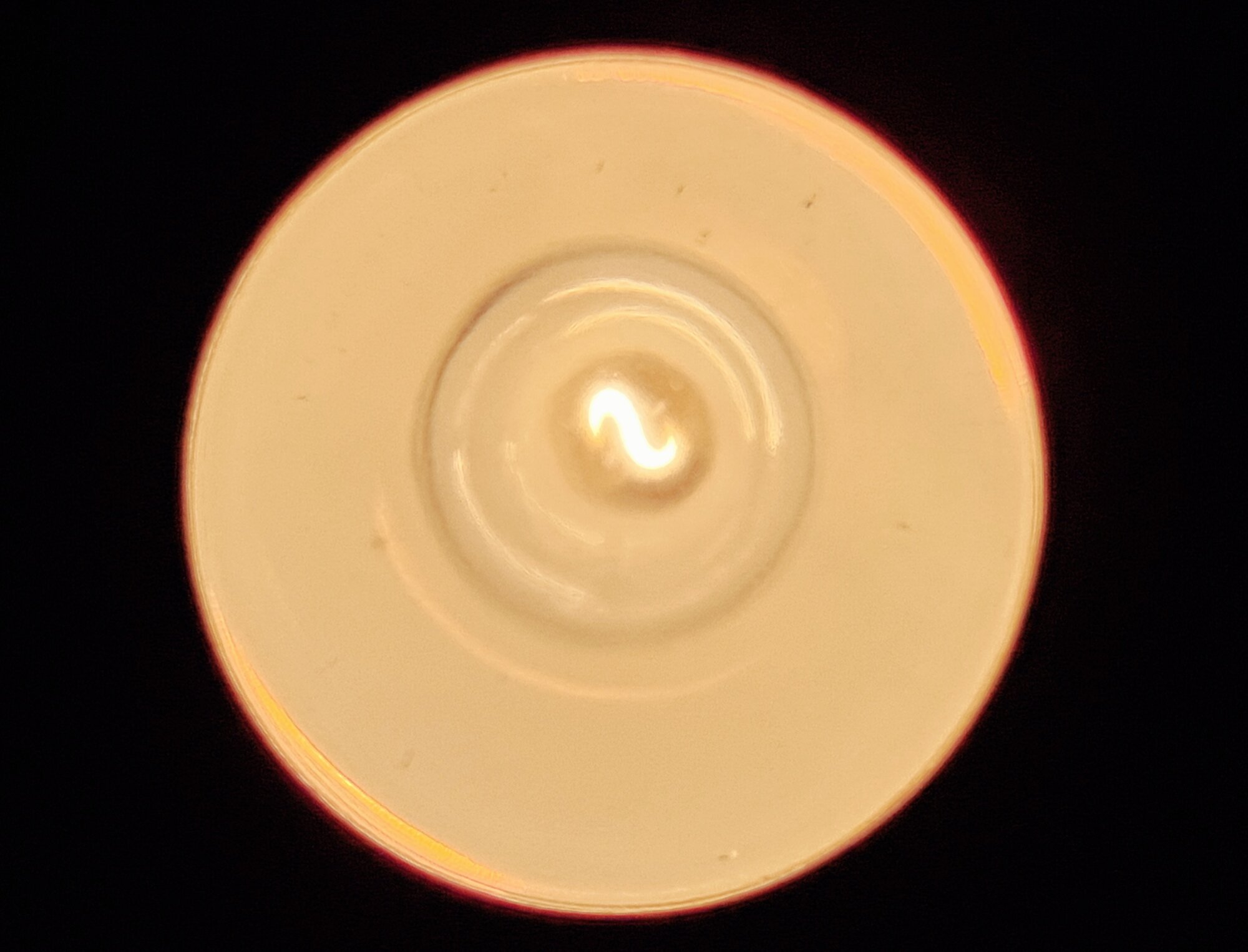 20241115_000653.jpg