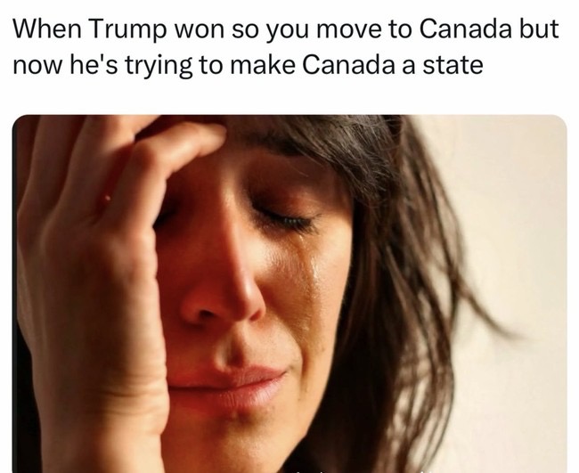 1733716483869.jpeg