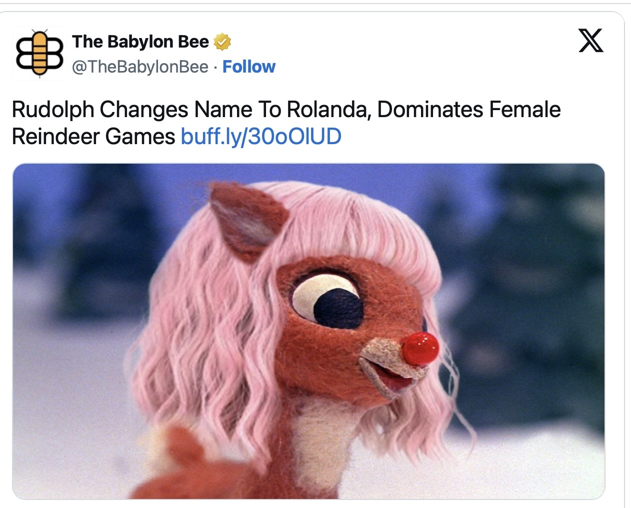 1734318649792.jpeg