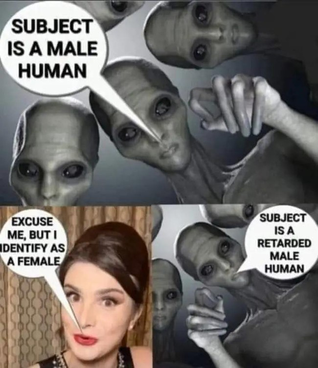 1736739819847.png