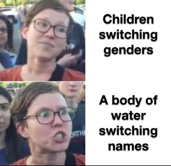 1740353876534.png