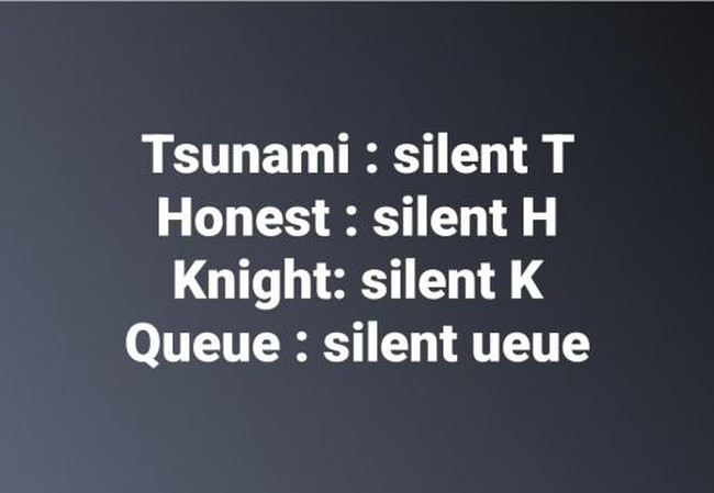 1740353999554.png