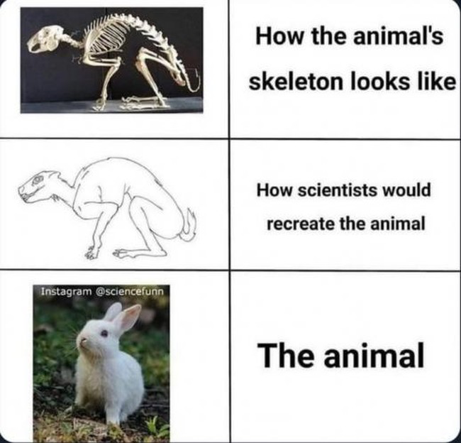 1741561850019.png