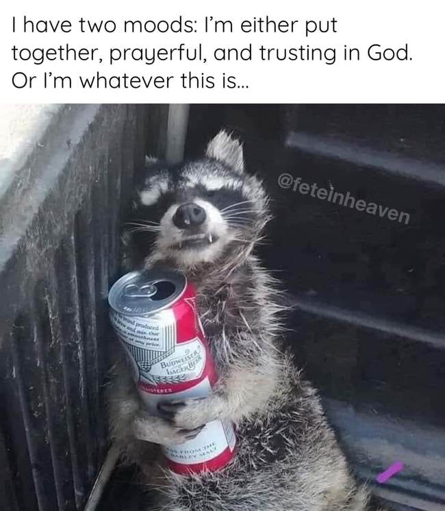 1741562198697.png