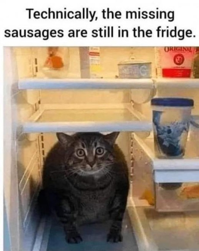 1746405795852.jpeg