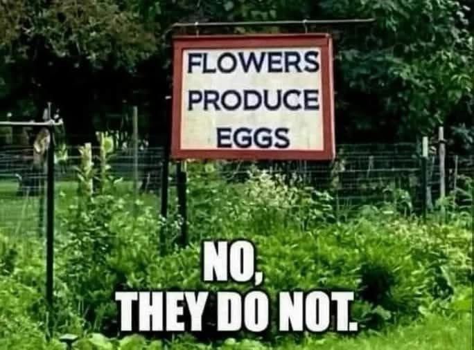 flowers.jpg