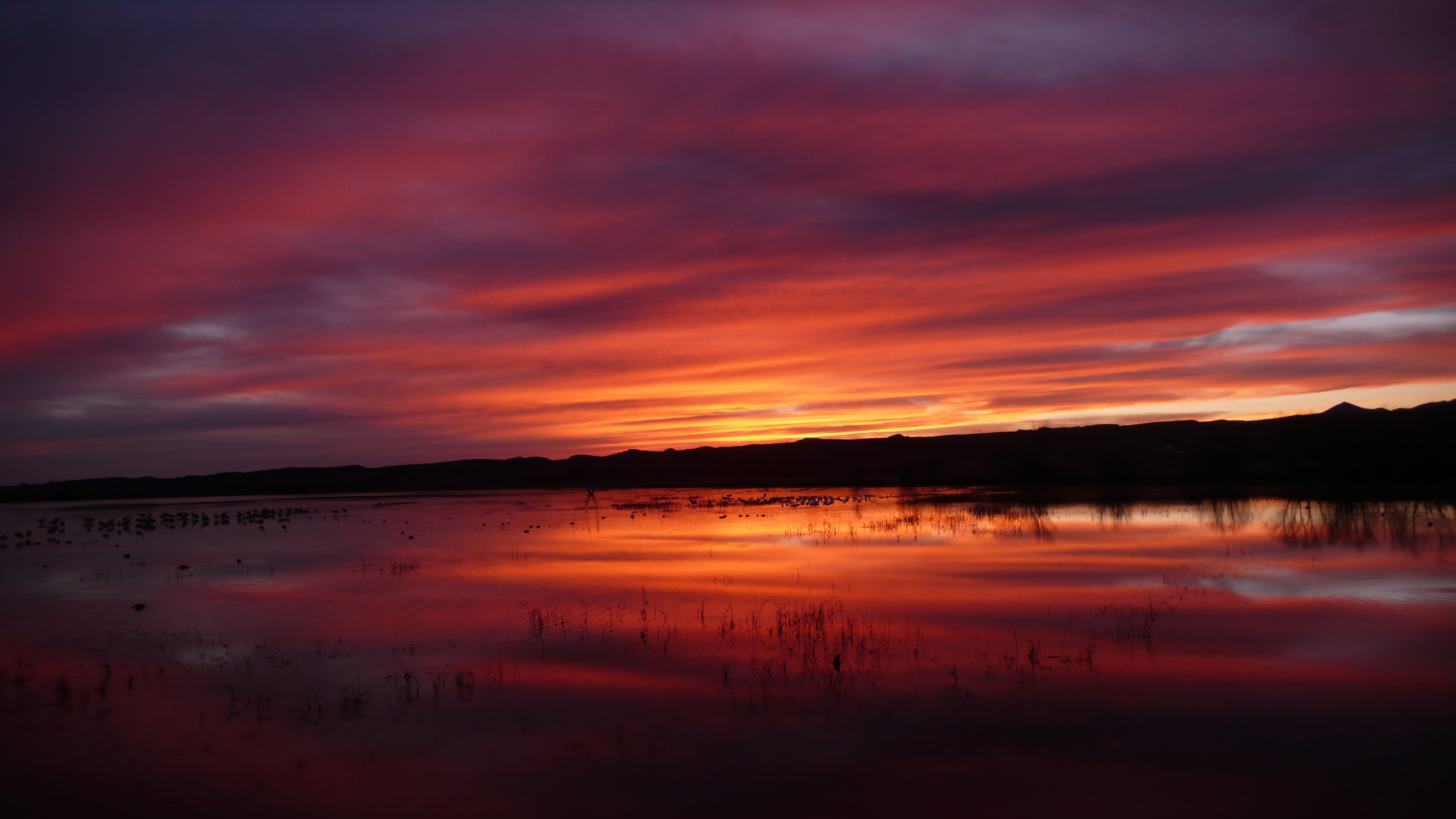 L1000064.JPG