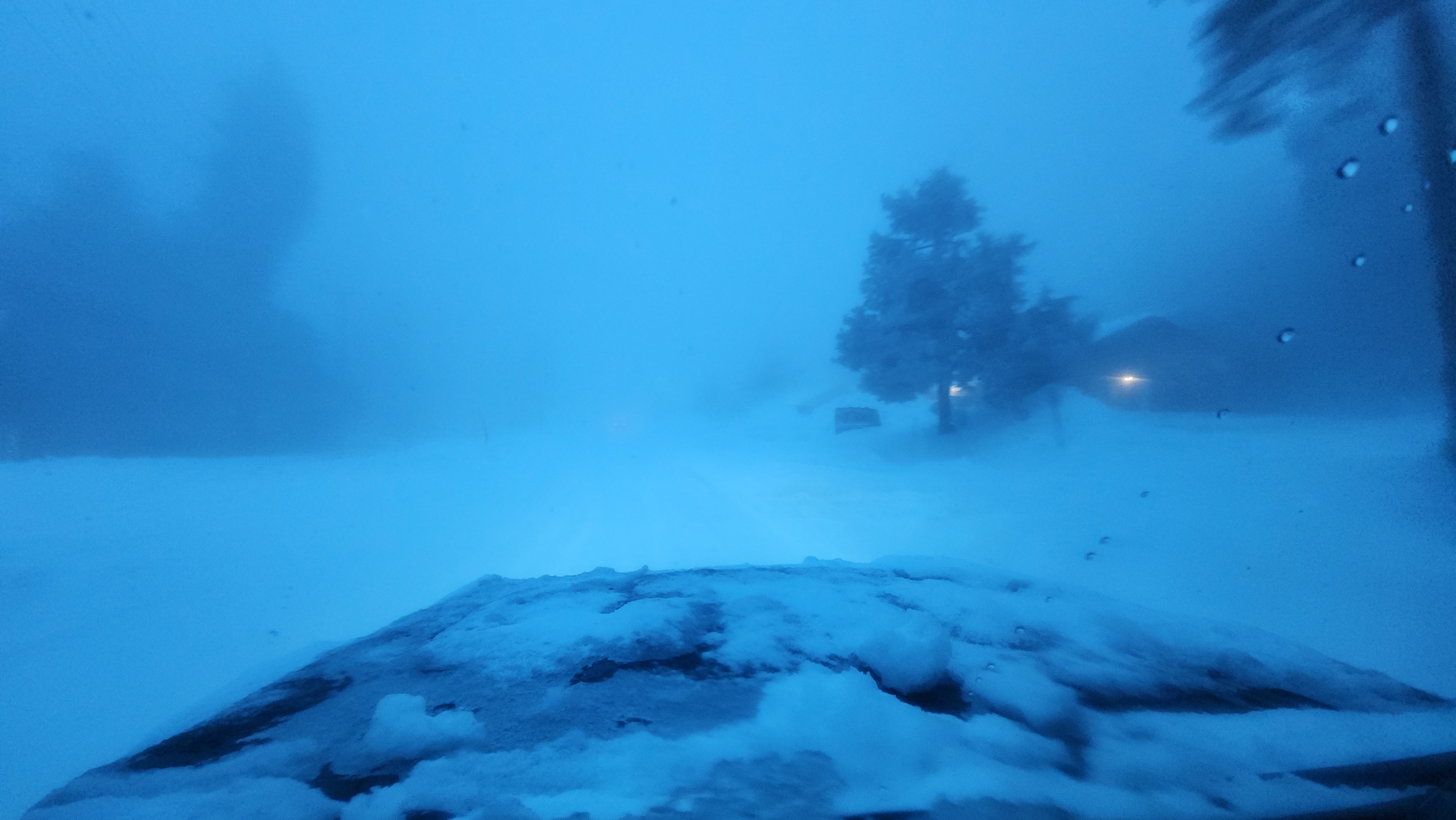 20250313_185614.jpg