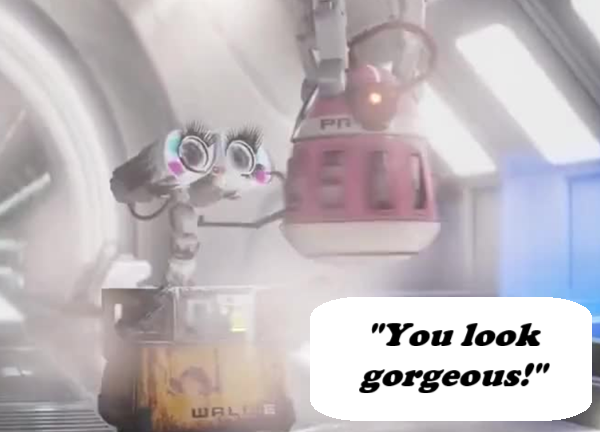 WallE_Gorgeous.png