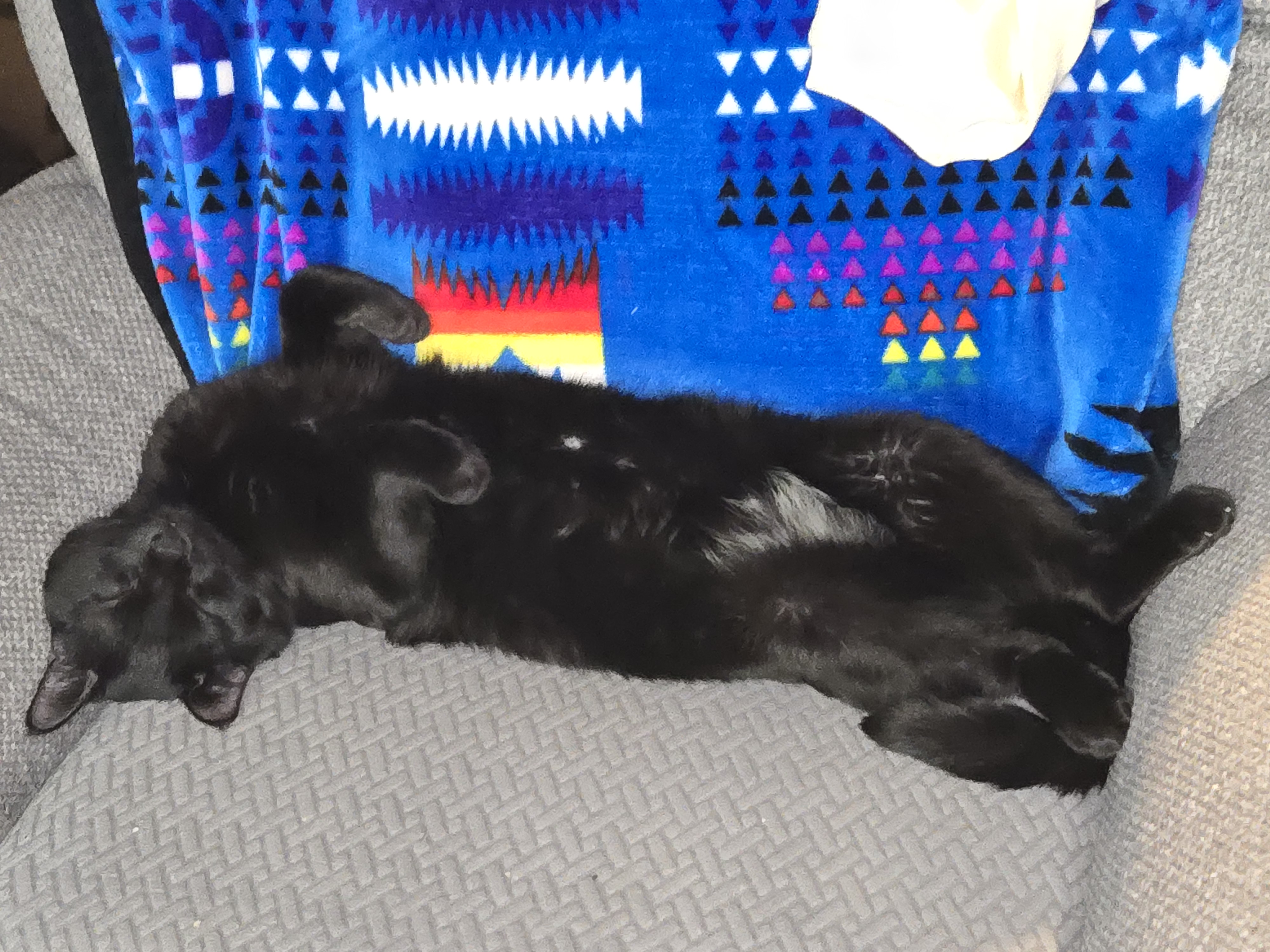 1000006358.jpg