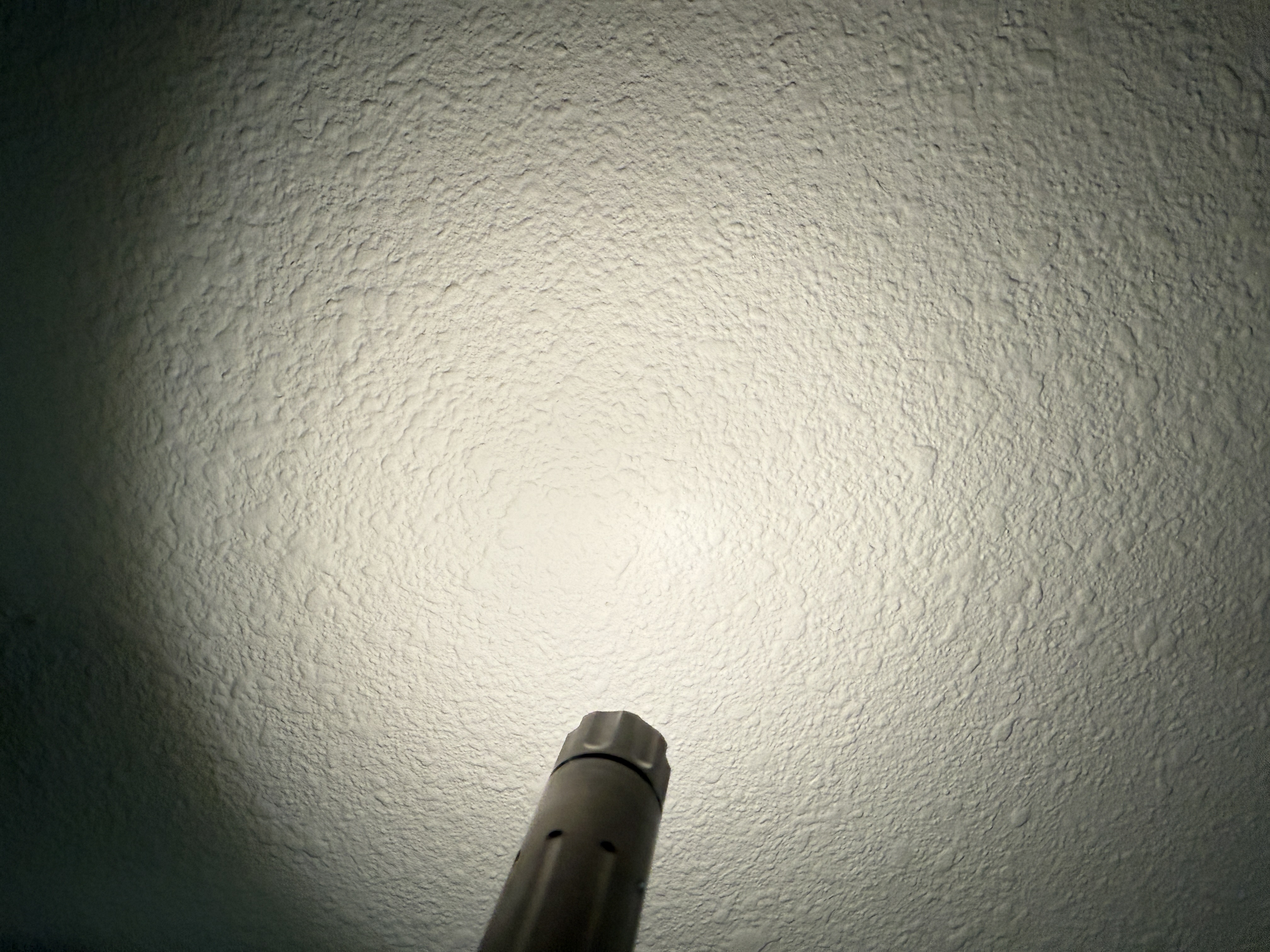 IMG_6120.jpeg