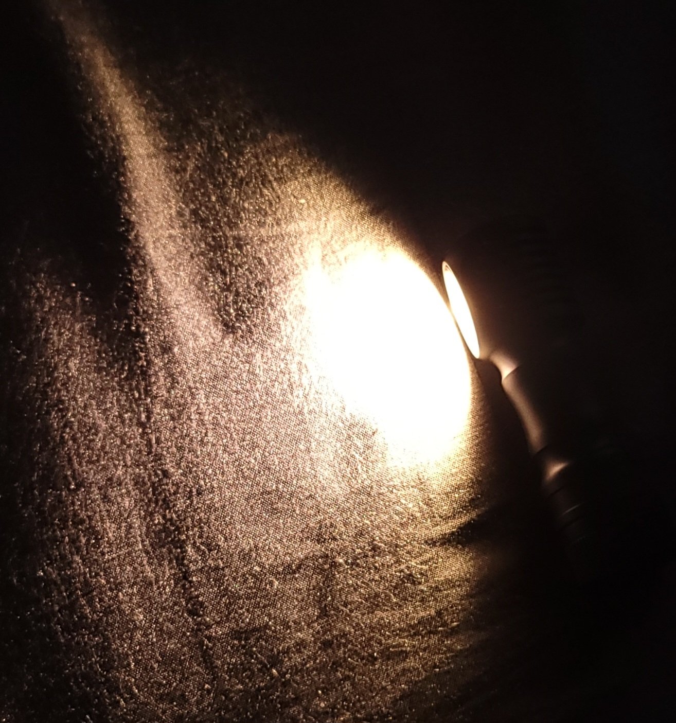 20251203_190155.jpg