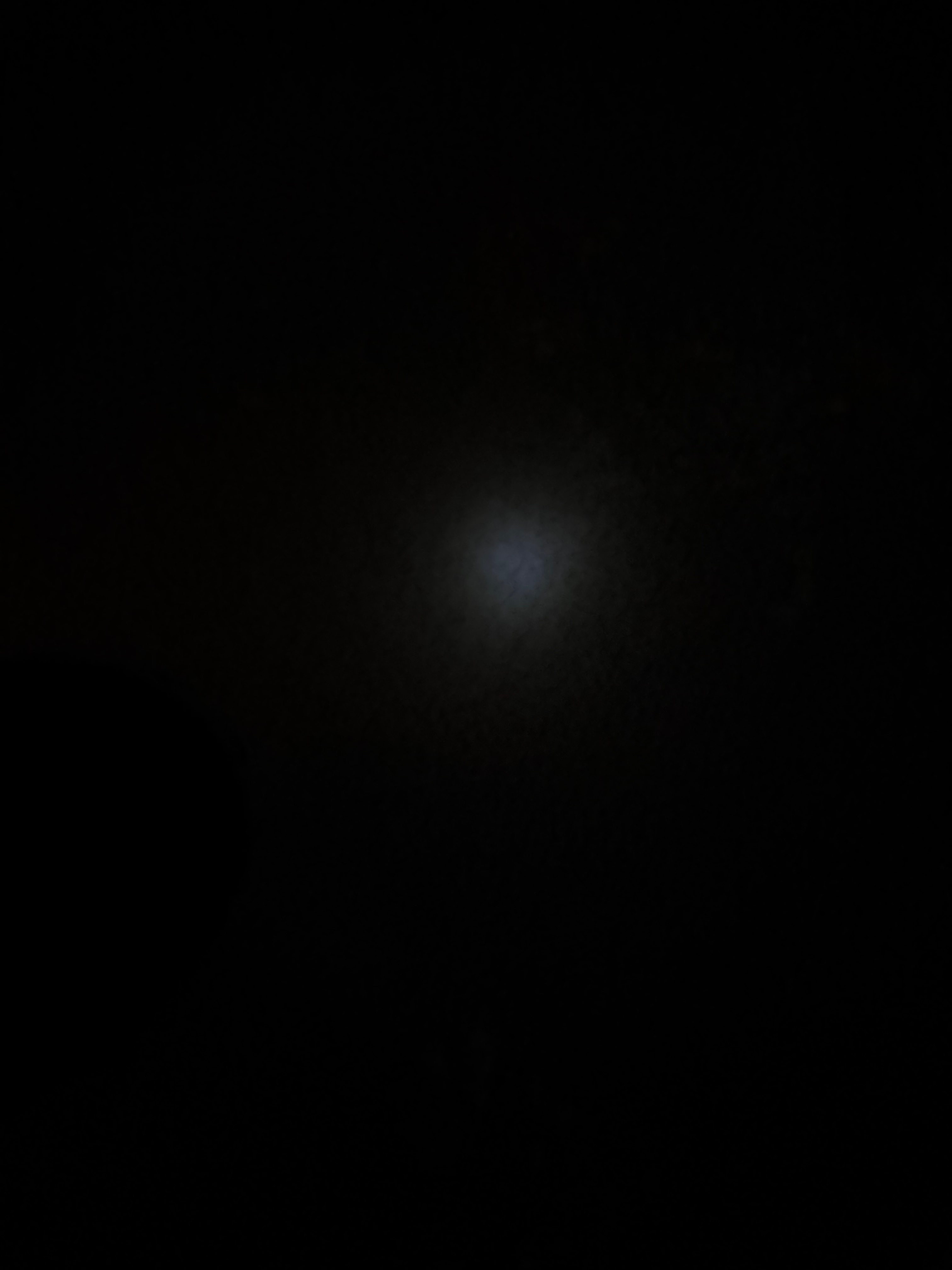 IMG_3069.jpeg