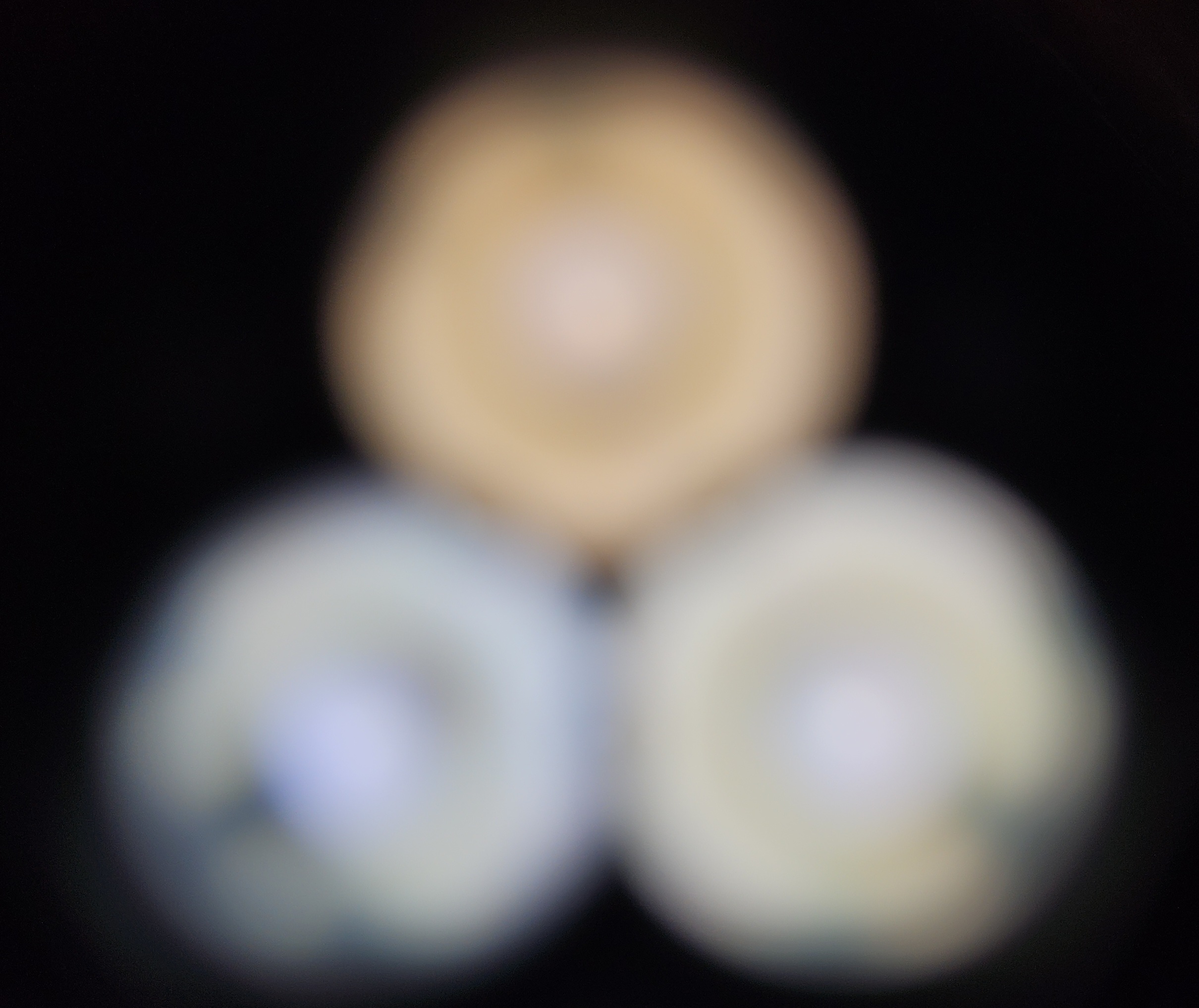 1000011468.jpg