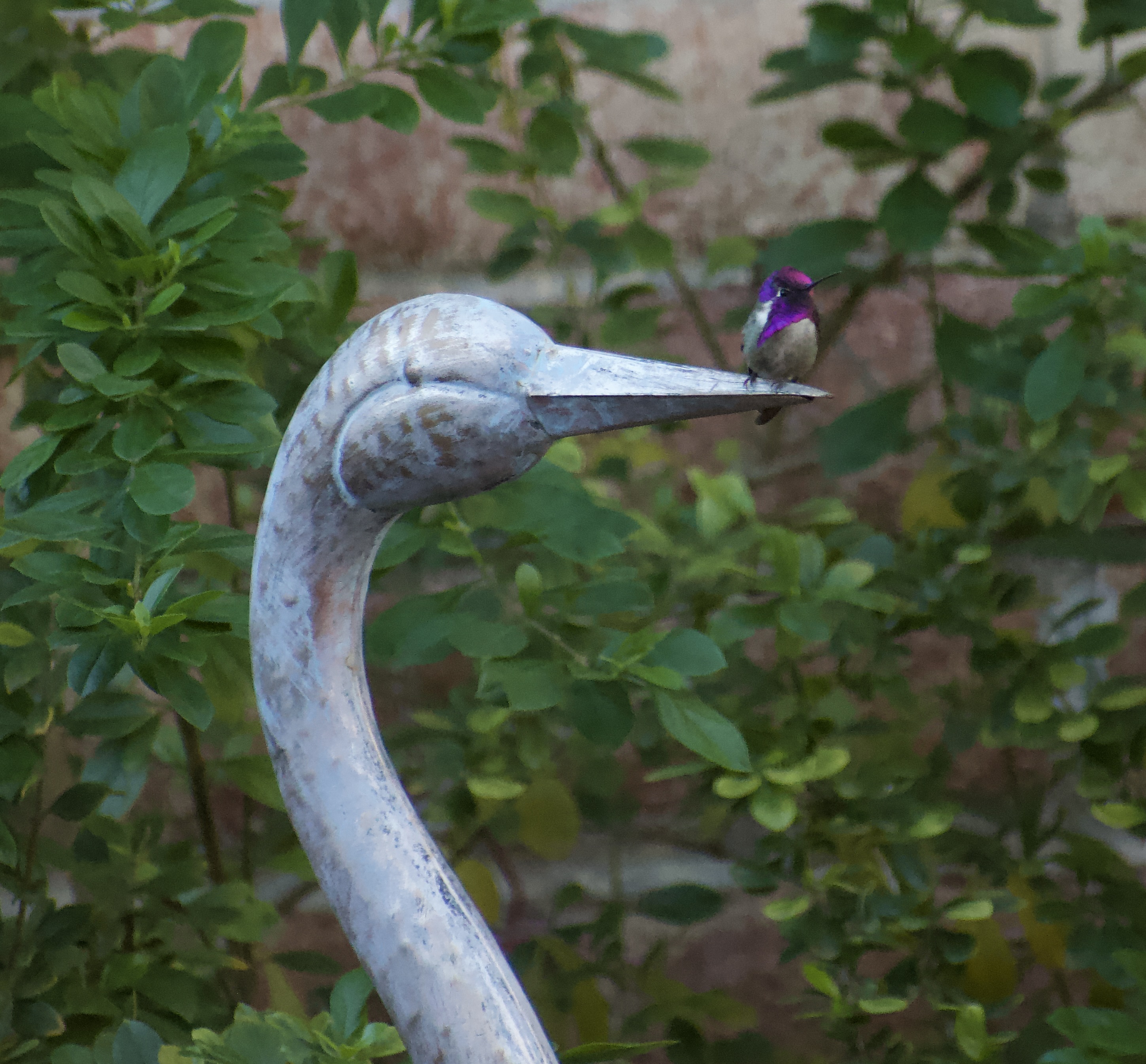 DSC_0002.jpeg