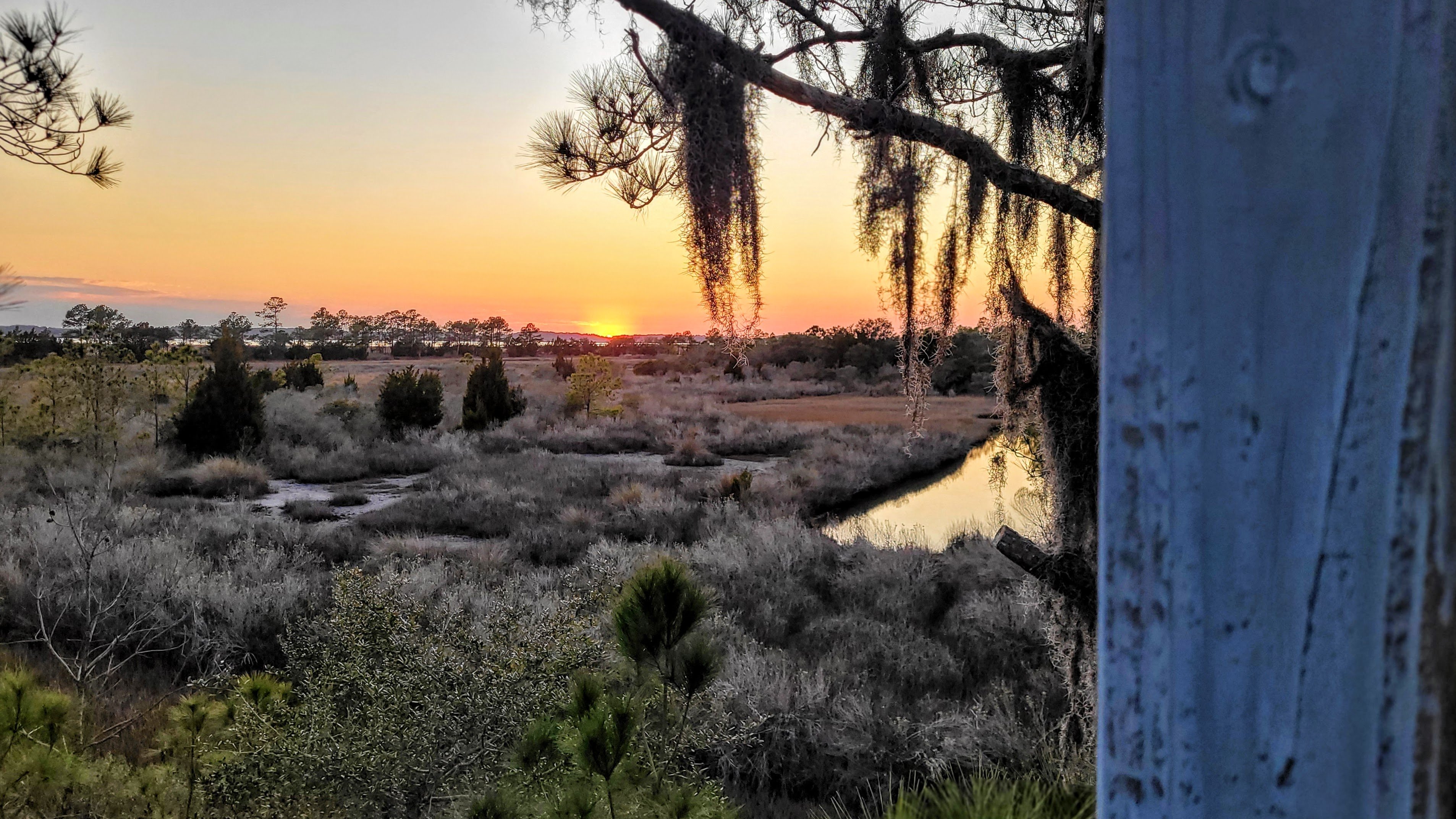 Sea Island Sunset.jpg