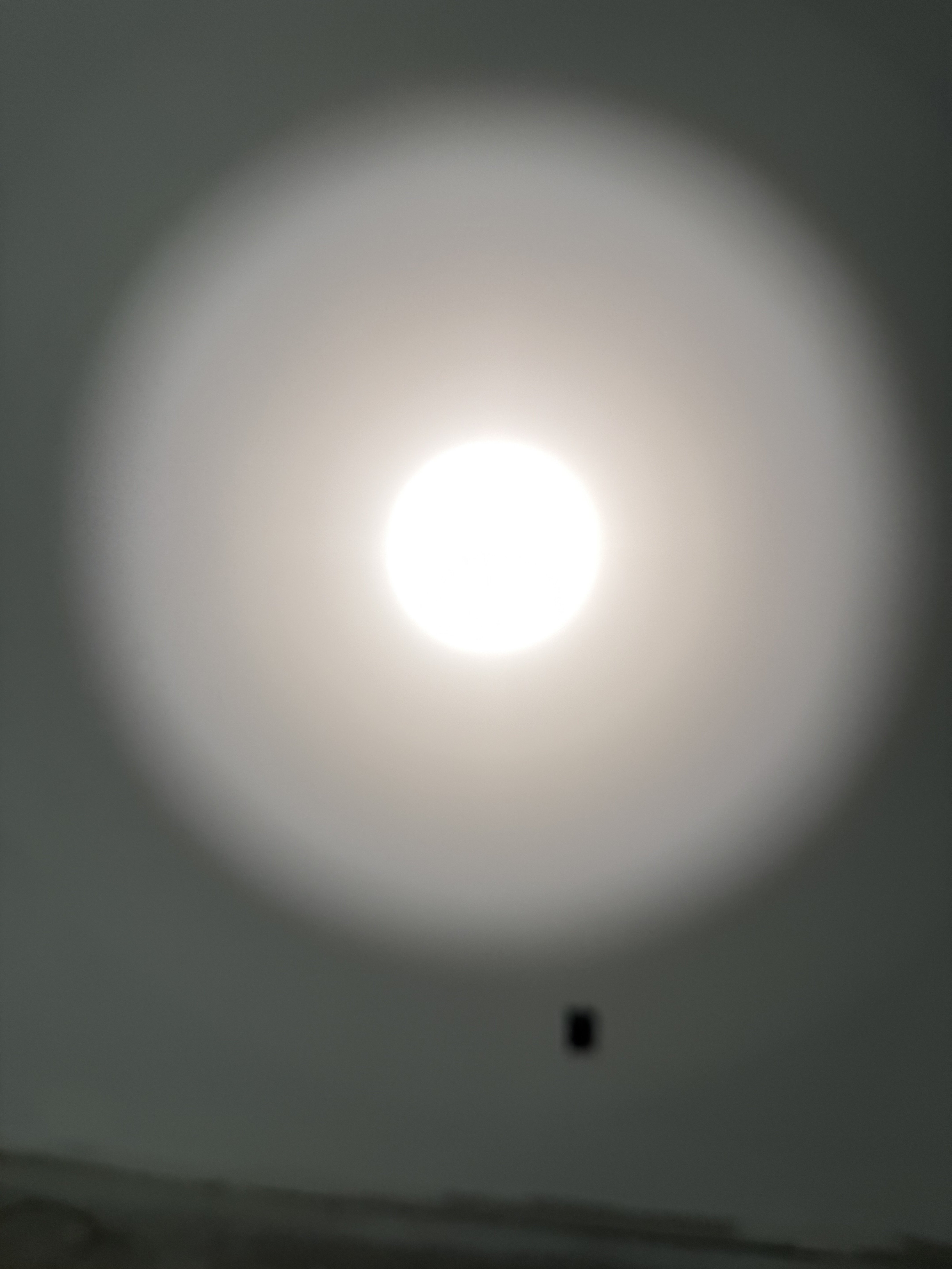 IMG_3287.jpeg