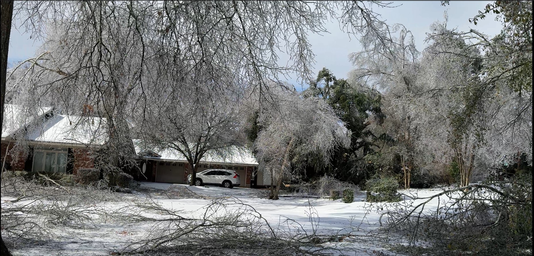 Ice Storm 2.jpg