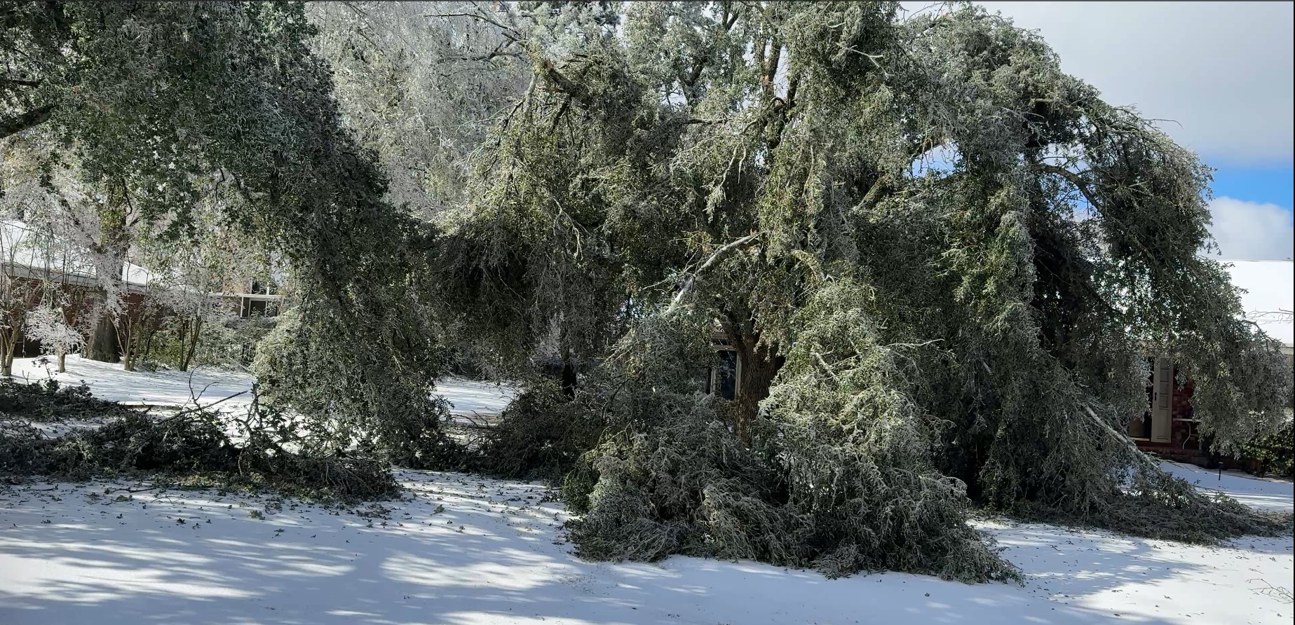 Ice storm 3.jpg
