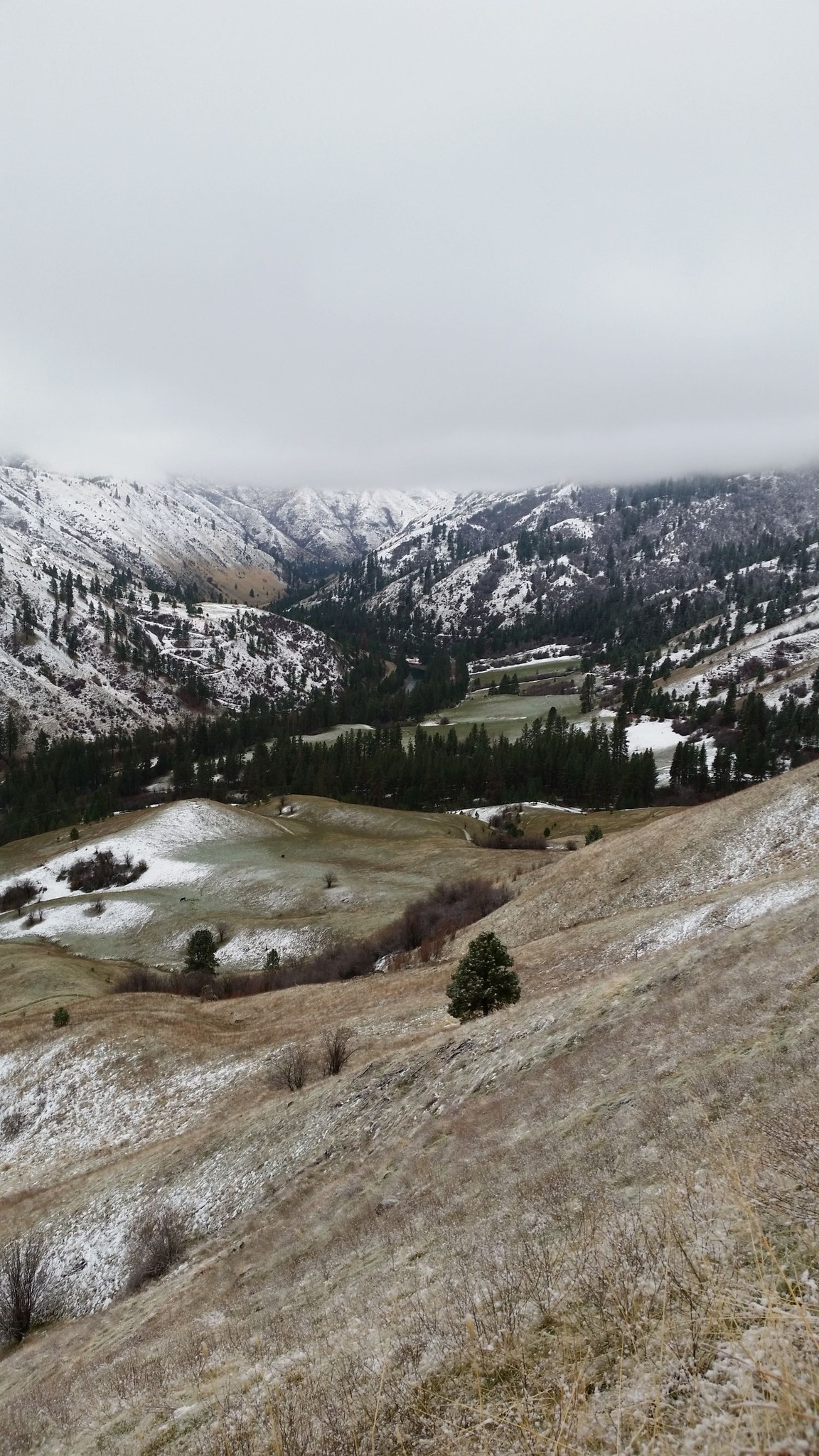 Idaho.jpg