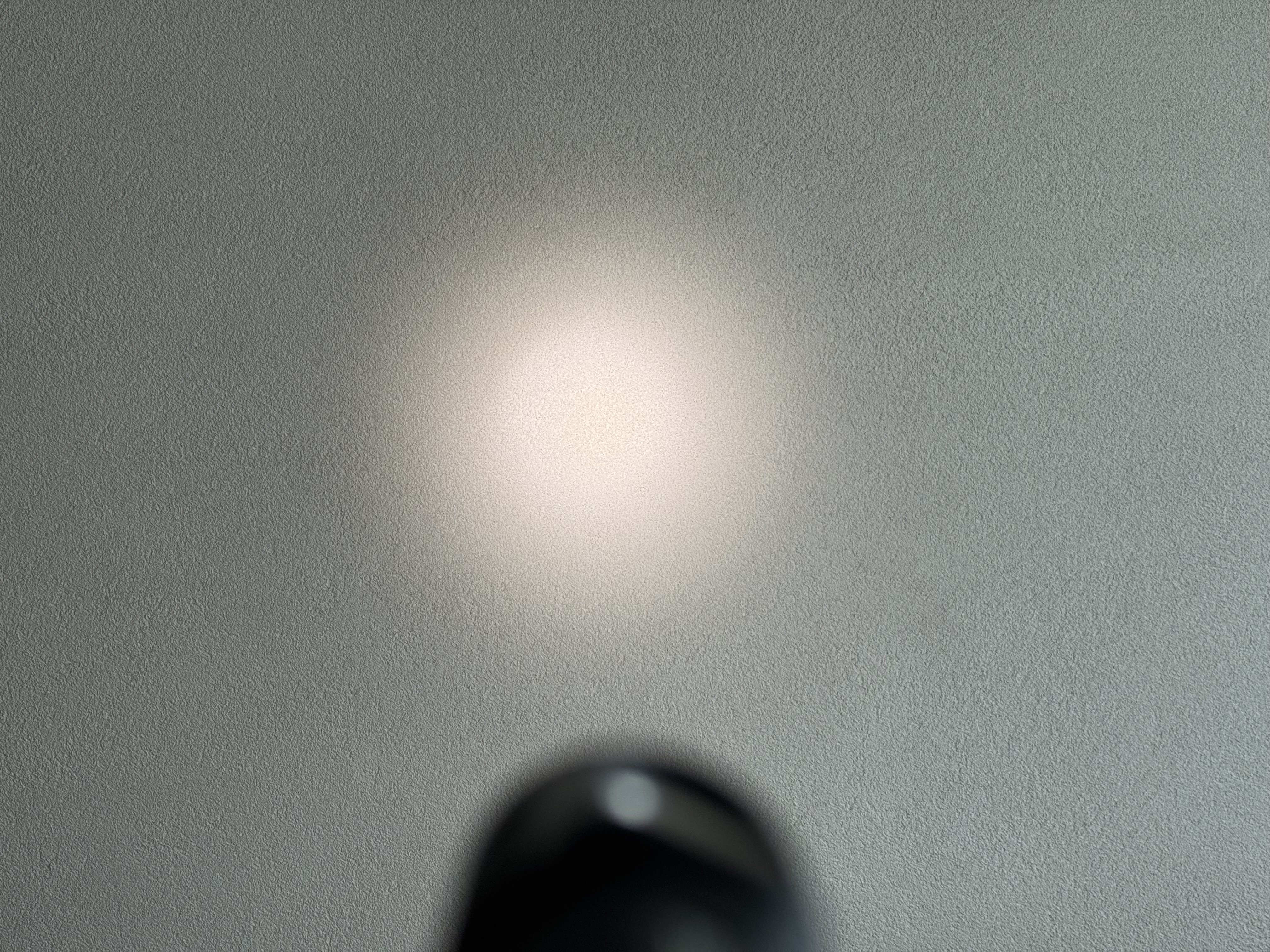IMG_2365.jpeg